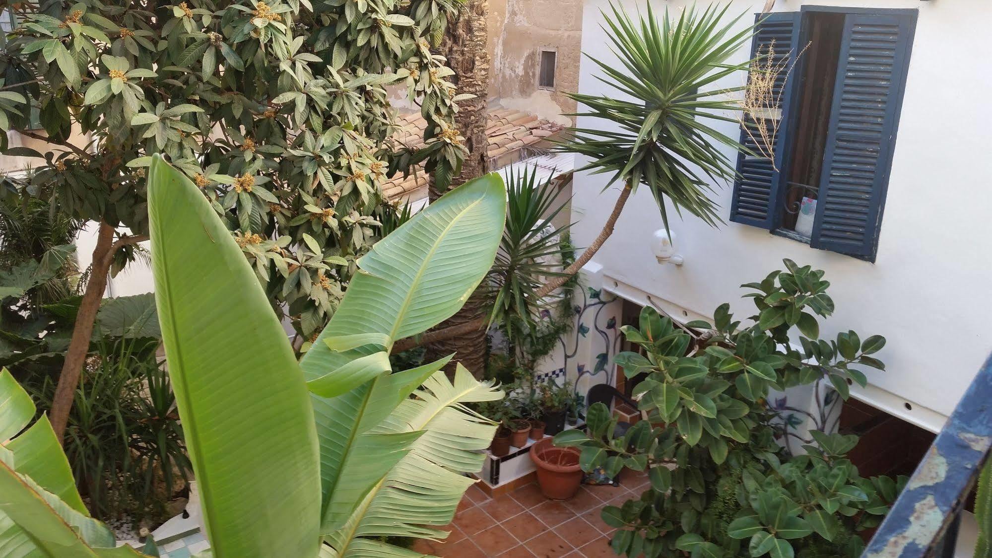 Hostal Pons Palma Extérieur photo